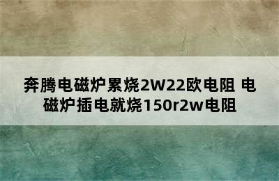 奔腾电磁炉累烧2W22欧电阻 电磁炉插电就烧150r2w电阻